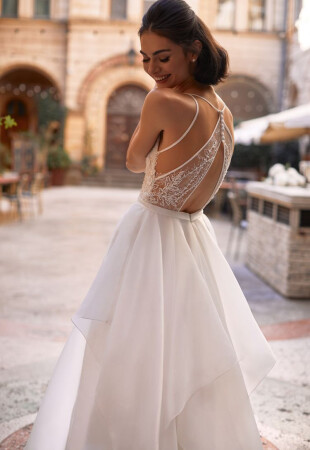 Backless wedding dress