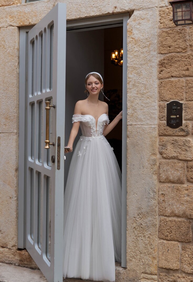 Picture Shine EN 58 - 1