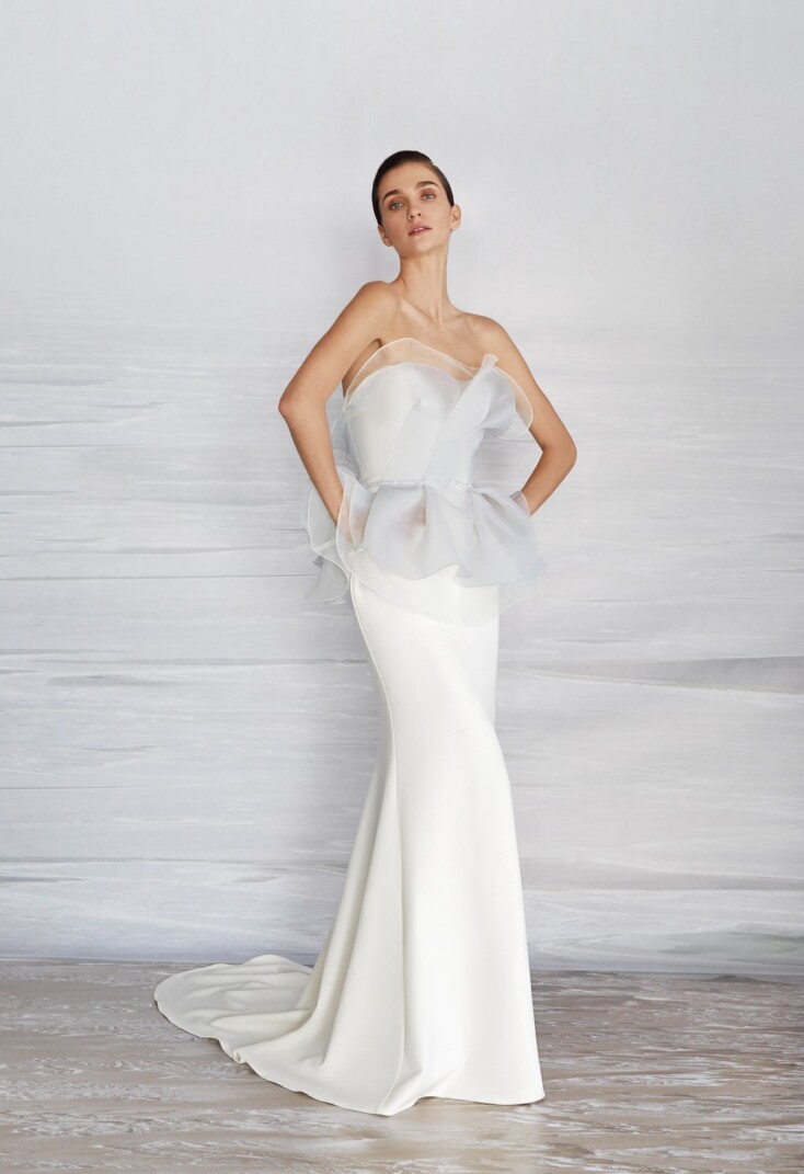 Picture Cyanea EN 83 - 1