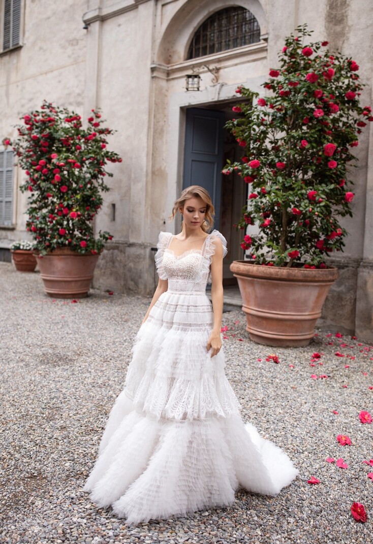 Bild Rosa DE 133 - 1