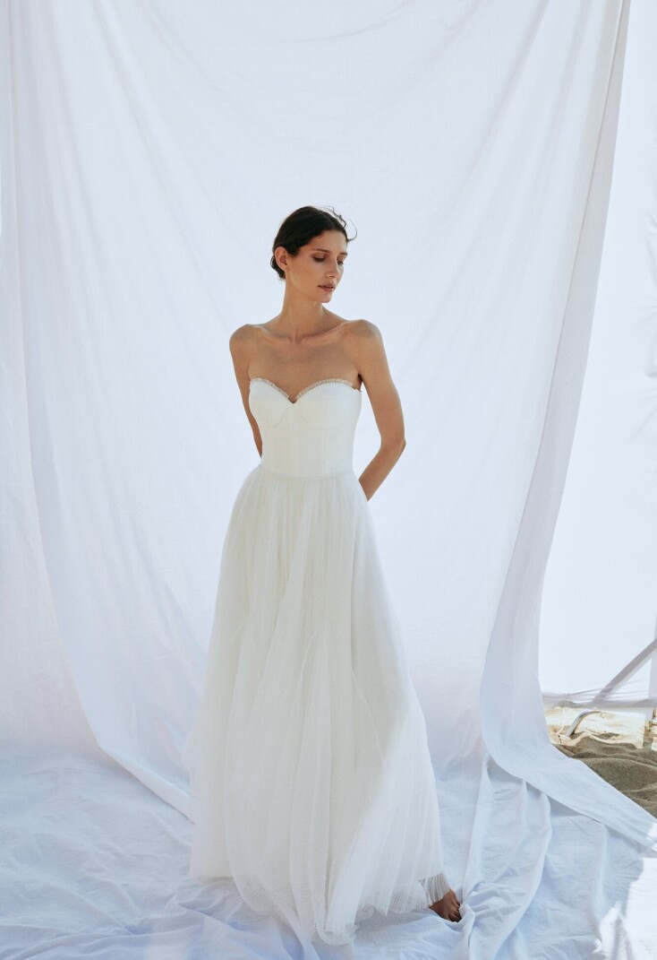 Imagen Scallop ES 153 - 1