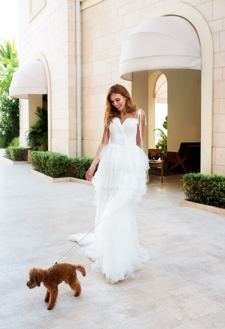 Image Charlotte FR 206 - 1