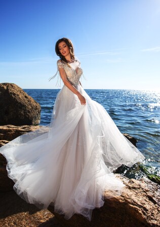 Bild Strombus Latissimus DE 266 - 1