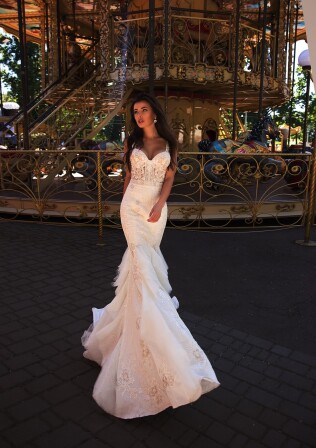 Bild Tibia Martini DE 267 - 1