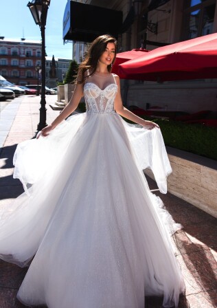 Bild Haliotis Ovina DE 271 - 1