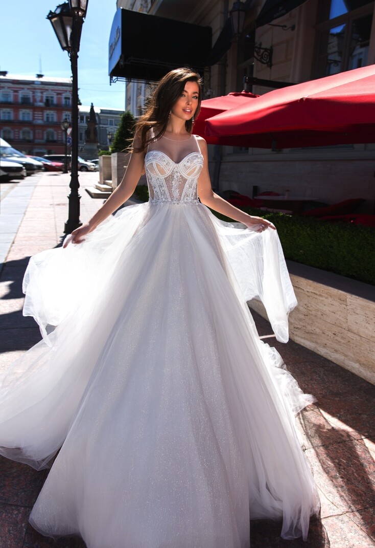 Immagine Haliotis Ovina IT 271 - 1