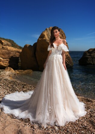 Bild Codakia Tigerina DE 273 - 1