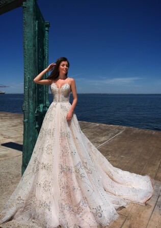 Bild Strombus Aurisdianae DE 274 - 1