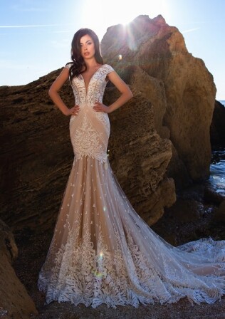 Bild Lambis Truncata DE 277 - 1