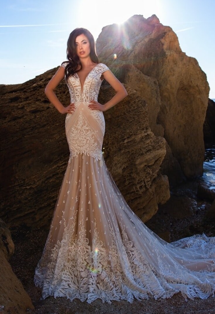 Picture Lambis Truncata EN 277 - 1