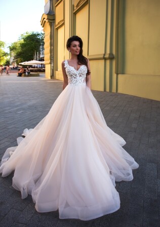 Bild Cassis Cornuta DE 278 - 1