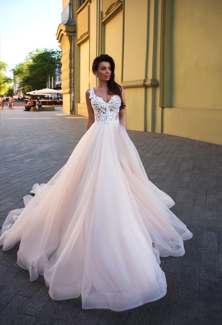 Фотографія Cassis Cornuta UK 278 - 1