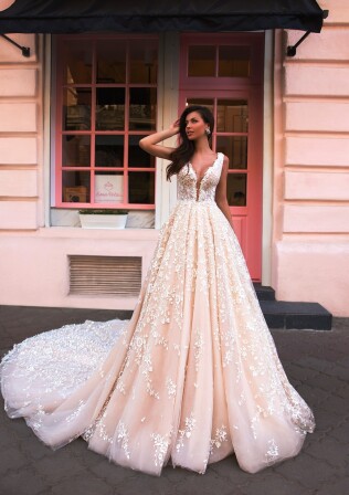 Bild Rapana Venosa DE 280 - 1