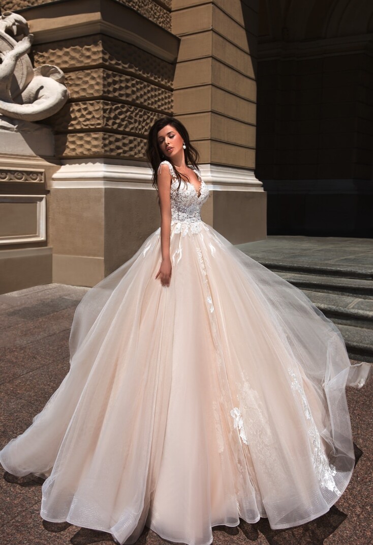 Fotografia Cupraea Tigris PL 282 - 1