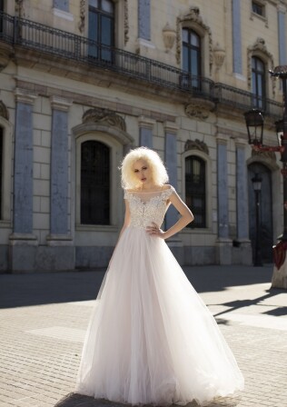 Bild Valencia Rose DE 284 - 1