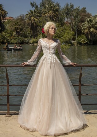 Bild Anemone DE 287 - 1