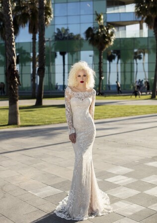 Bild Freesia DE 288 - 1