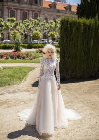 Bild Fennel Flower DE 290 - 1