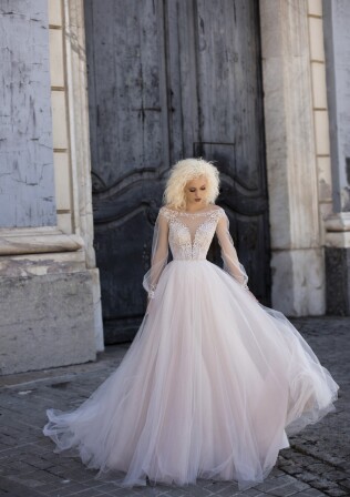 Bild Primula DE 294 - 1