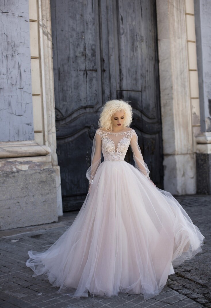 Фотографія Primula UK 294 - 1