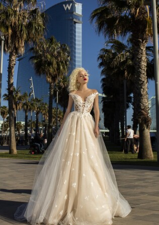 Bild Clematis DE 295 - 1