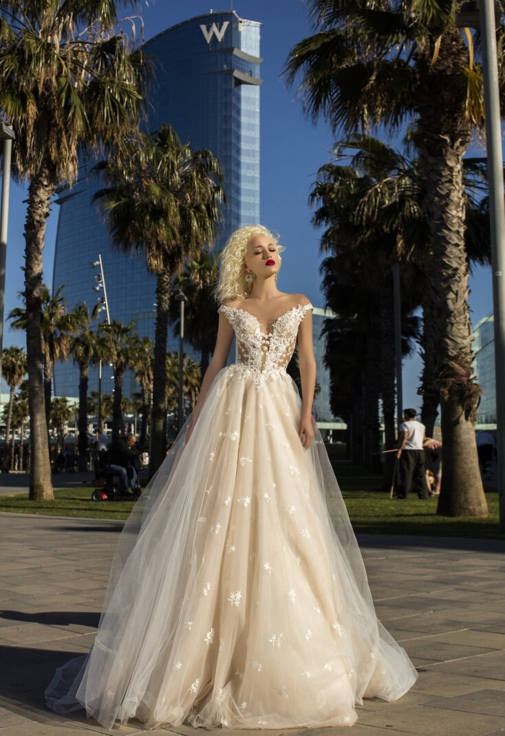 Picture Clematis EN 295 - 1