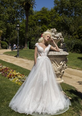 Bild Acacia DE 297 - 1