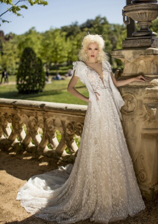 Bild Оleander DE 300 - 1