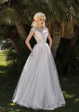 Bild Salvia DE 302 - 1