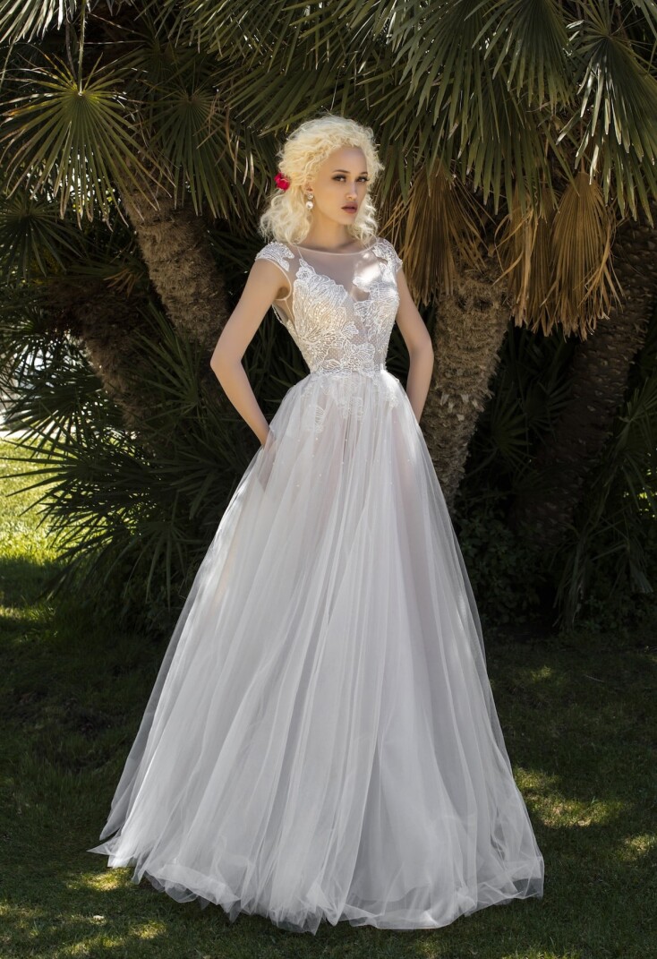 Picture Salvia EN 302 - 1