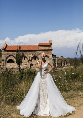 Immagine Luxurious Begonia IT 342 - 1