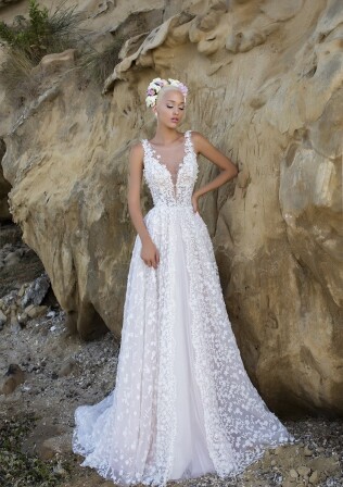 Immagine Modest Daisy IT 347 - 1