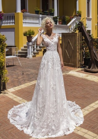 Immagine Headstrong Begonia IT 353 - 1