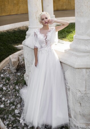 Immagine Aerial Alstroemia IT 354 - 1