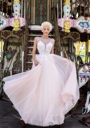 Immagine Courageous Carnation IT 358 - 1