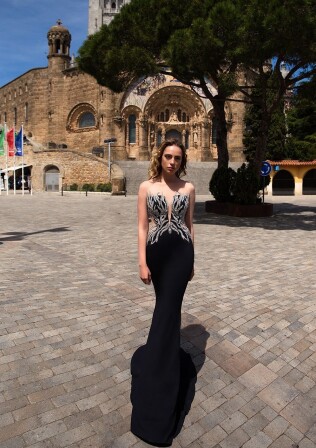 Image Montes FR 466 - 1