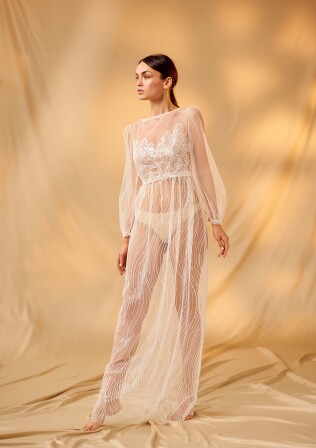 Fotografia Gerbera PL 604 - 1