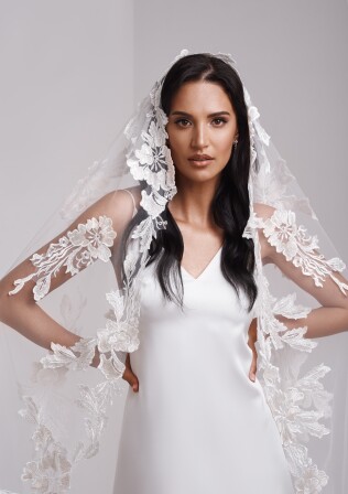 Picture V2-WD11-225S EN 774 - 1