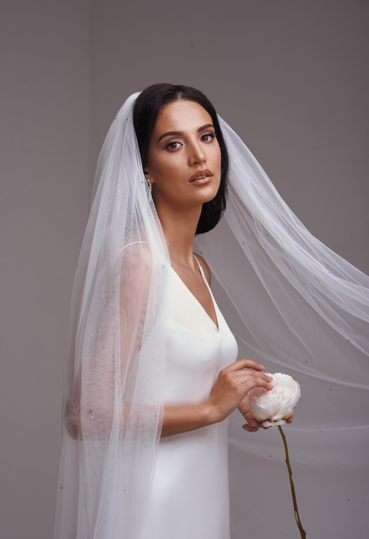 Picture V2-S-NP3436/SS16.SS20 EN 782 - 1