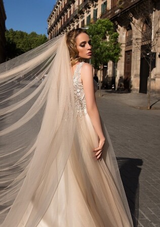 Picture V-2S-NP3436 EN 805 - 1