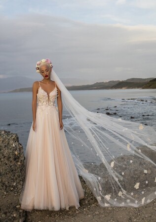 Picture V-2A2694-BT EN 816 - 1