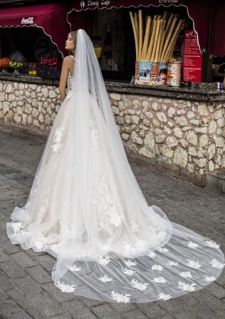 Picture V2-52405A EN 831 - 1