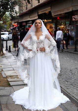 Picture V4-92137 EN 838 - 1