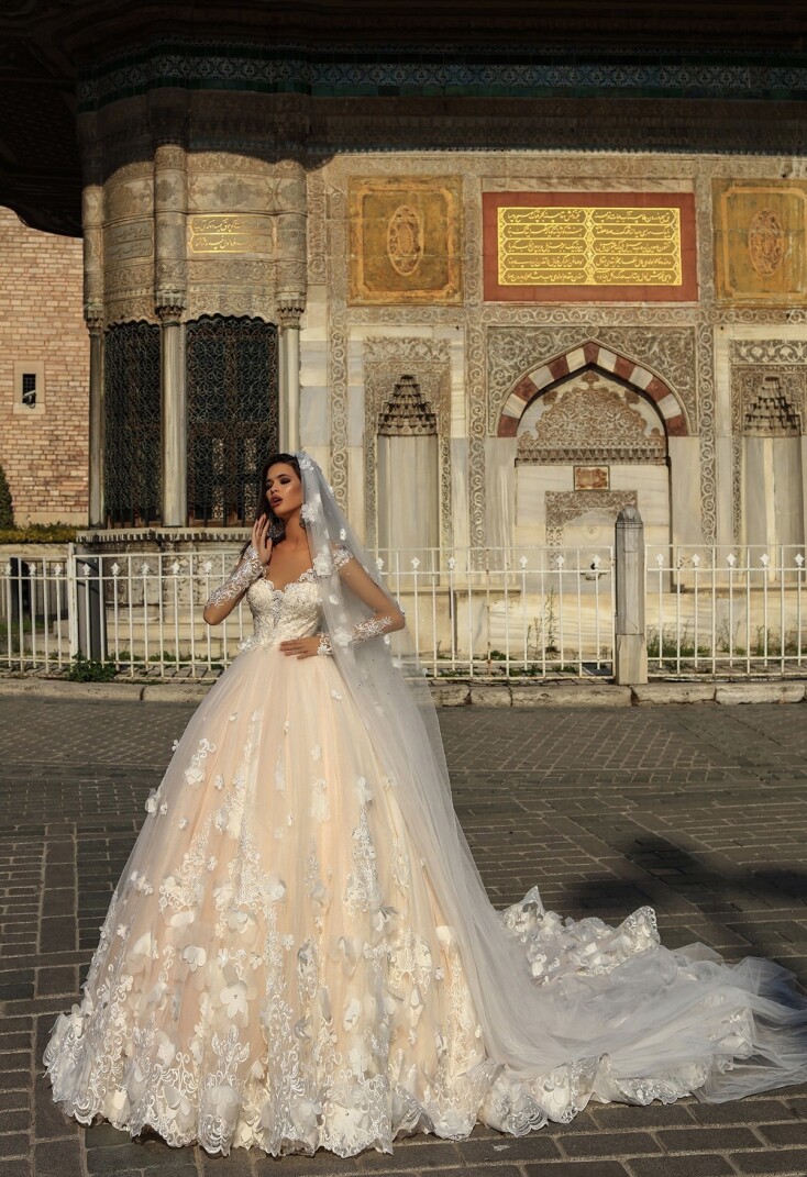 Picture V2-XC001 EN 858 - 1