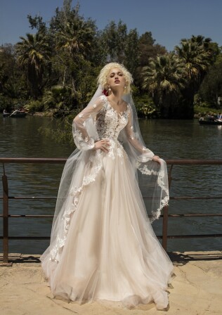 Picture V4-1703 EN 861 - 1