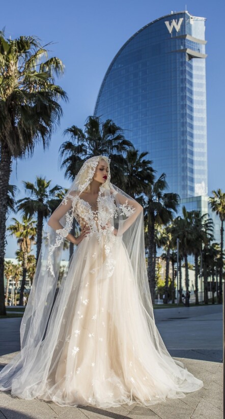 Fotografia V2-1703 PL 867 - 1