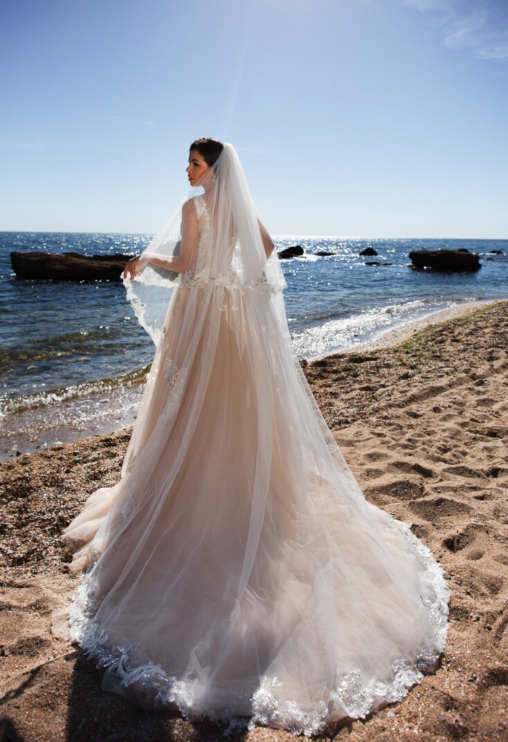 Image V4-2190/B3823-X FR 873 - 1