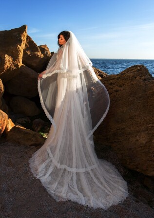 Picture V4-RS31062 EN 877 - 1