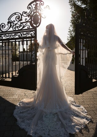 Picture V4-WD21-8S EN 887 - 1