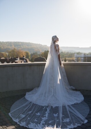 Picture V2-82129SB/WD011-105S EN 892 - 1